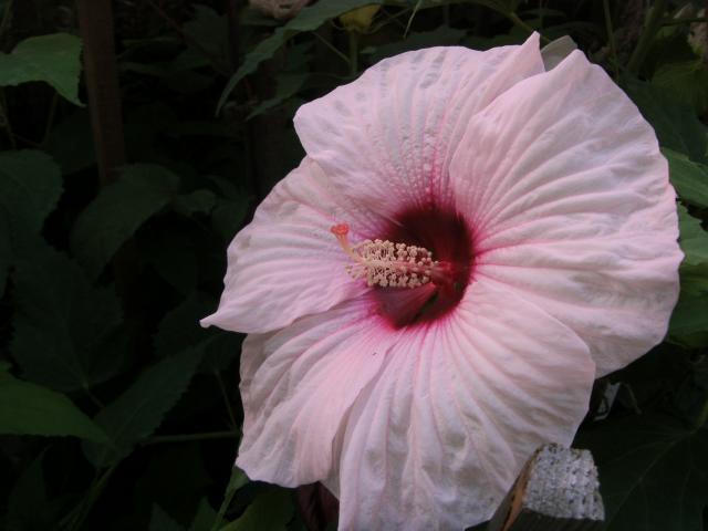S73F4361.jpg