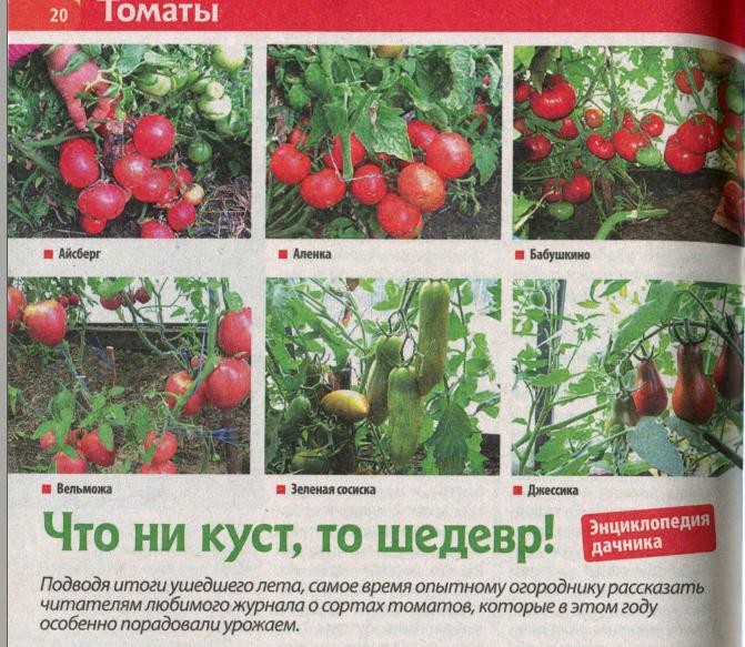 описание сортов.jpg