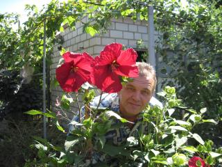 IMG_3363.jpg