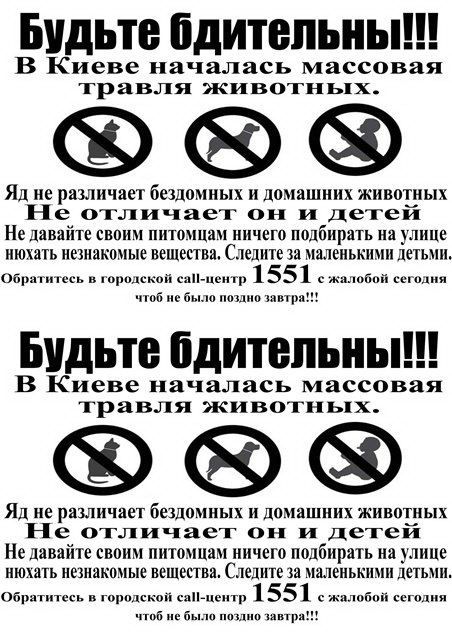 5b2aa4cff02c.jpg