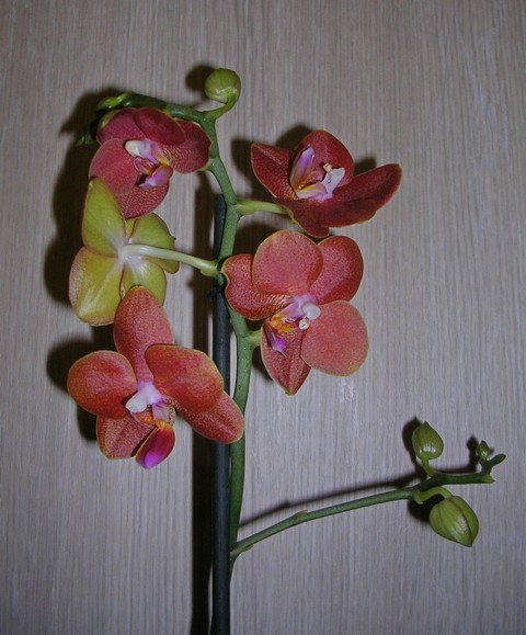 DSCN8860.JPG