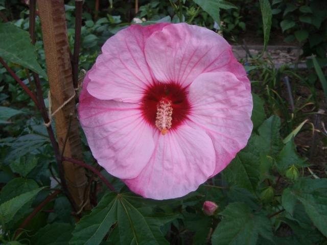 S73F4512.jpg