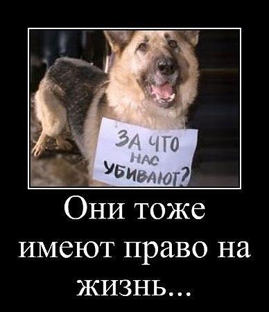 право.jpg