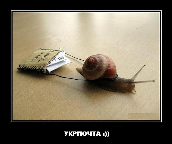 укрпочта.jpg