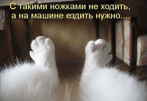 С такими ножками.jpg