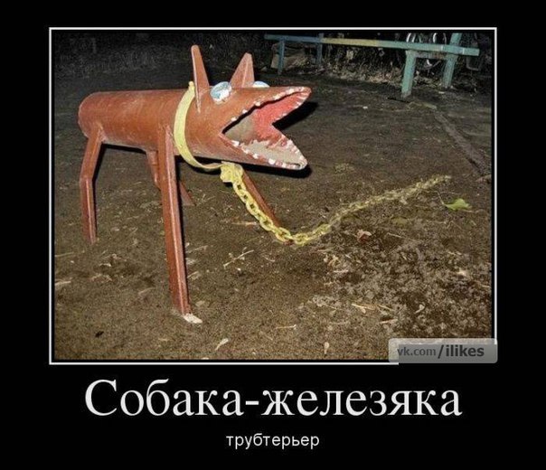 V-55iRKGXbc.jpg