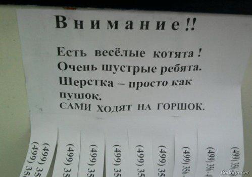 berloga.net_2060382403.jpg