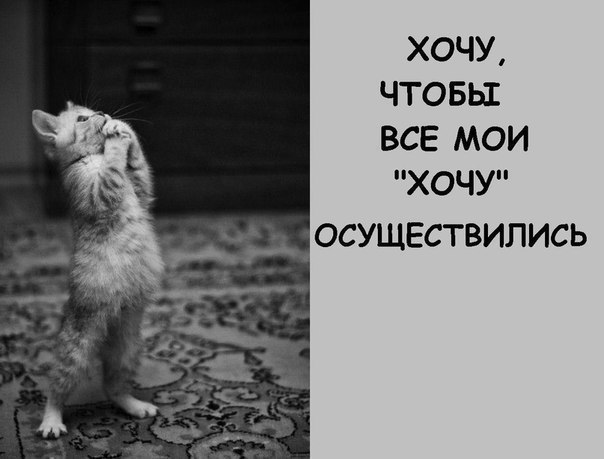 хочу.jpg