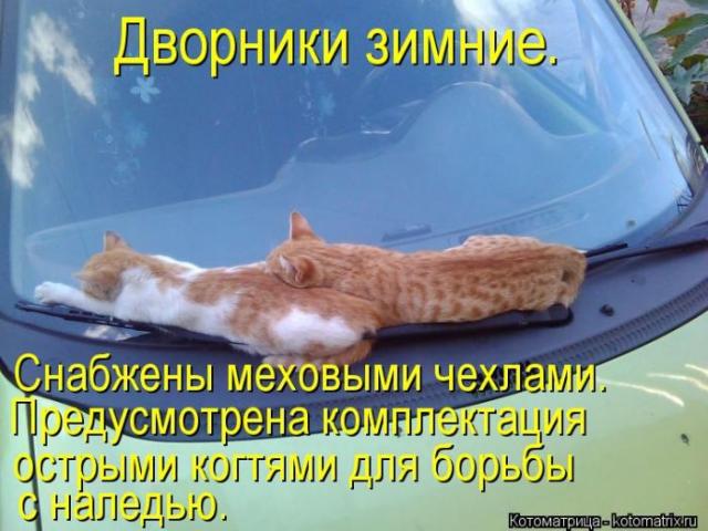 дворники зимние.jpg